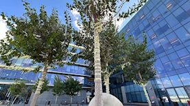 סרטים צהובים מחווה לחטופים, צילום: ירון ביטר